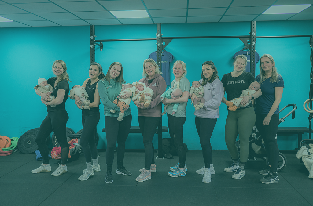 Zorgverzekeraars 2026